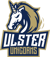 Ulster Unicorns 2 (VALORANT)