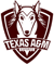 Texas A&M University (VALORANT)