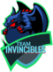 Team Invincibles (Call of Duty)