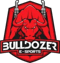 Bulldozer e-Sports (Counter-Strike (CS2))
