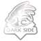 Darkside (KW) (Counter-Strike (CS2))