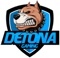 DETONA (Counter-Strike (CS2))