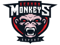 GermanMonkeys Academy (Counter-Strike (CS2))