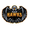 Hawks (Counter-Strike (CS2))