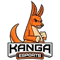 Kanga (Counter-Strike (CS2))