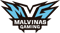 Malvinas Gaming (Counter-Strike (CS2))