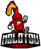 Molotov Gaming (Counter-Strike (CS2))