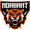 NORBANT (Counter-Strike (CS2))