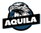 OOE Aquila (Counter-Strike (CS2))