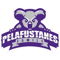 PELAFUSTANES (Counter-Strike (CS2))