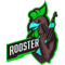 Rooster 2 (Counter-Strike (CS2))