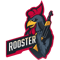 Rooster (Counter-Strike (CS2))