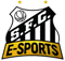 Santos e-Sports (Counter-Strike (CS2))