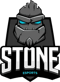 Stone Esports (Counter-Strike (CS2))