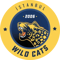 İstanbul Wildcats (Counter-Strike (CS2))