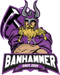 Team Banhammer (Counter-Strike (CS2))