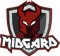 Team Midgard (Counter-Strike (CS2))
