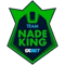 Team NadeKing (Counter-Strike (CS2))