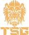 TSG (Counter-Strike (CS2))