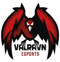 Valravn Esports (Counter-Strike (CS2))