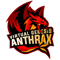 VG.Anthrax (Counter-Strike (CS2))