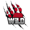 WiLD MultiGaming (Counter-Strike (CS2))