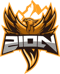 ZioN Esports (Counter-Strike (CS2))