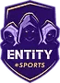 ENTiTY (Counter-Strike (CS2))