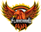 Flame Hard (Counter-Strike (CS2))