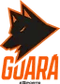 Guará eSports (Counter-Strike (CS2))