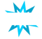 Nitro.GG (Counter-Strike (CS2))