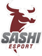 Sashi Academy (Counter-Strike (CS2))
