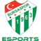 Bursaspor Esports (Dota 2)
