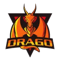 Drago Esports (Dota 2)