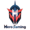 Hero Gaming (Dota 2)