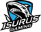 Isurus Gaming (Dota 2)