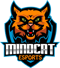 MINDCAT Esports (Dota 2)