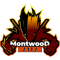 Montwood Zalz (Dota 2)