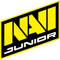 NaVi Junior (Dota 2)