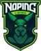 NoPing eSports (Dota 2)
