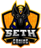 SeTH Gaming (Dota 2)