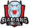 Siamang Tunggal (Dota 2)