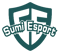 Sumi Esport (Dota 2)