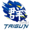 Taigun E-Sport (Dota 2)