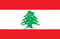 Team Lebanon (Dota 2)