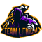 Team Lithium (Dota 2)