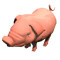 Team Pig Pole (Dota 2)