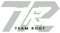 Team Root (Dota 2)