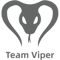 Team Viper (Dota 2)
