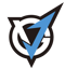 VGJ.Storm (Dota 2)